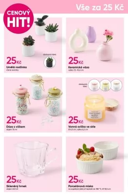 akční leták PEPCO 16.1.2025-29.1.2025