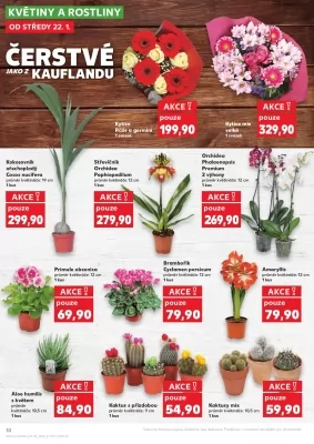 akční leták Kaufland 22.1.2025-28.1.2025