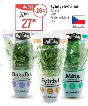 Bylinky v květináči Bylinky s.r.o.