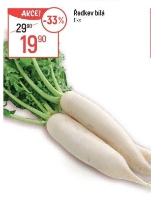 Ředkev bílá