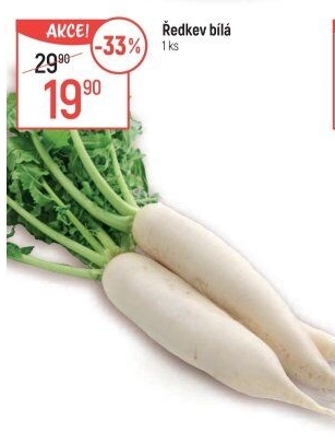 Ředkev bílá