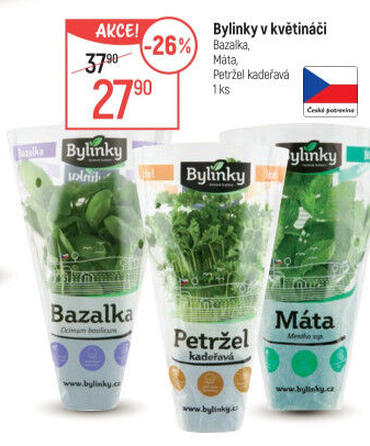 Bylinky v květináči Bylinky s.r.o.
