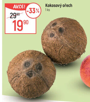 Kokosový ořech