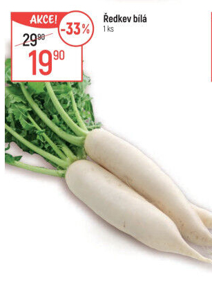 Ředkev bílá