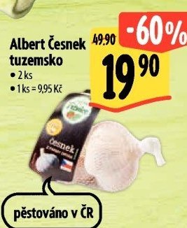Albert Česnek tuzemsko