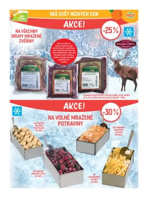 akční leták Globus 29.1.2025-4.2.2025