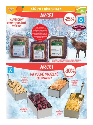 akční leták Globus 29.1.2025-4.2.2025