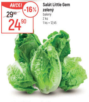 Salát little gem