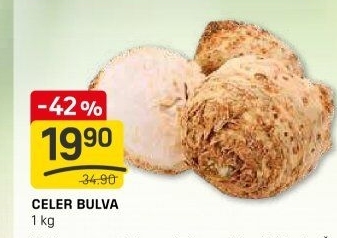 Celer bulva