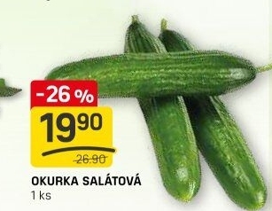 Okurka salátová - hadovka