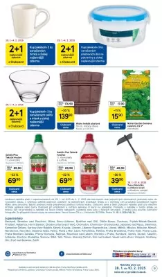 akční leták Tesco 29.1.2025-4.2.2025