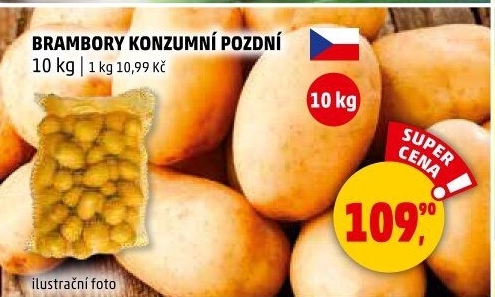 Brambory konzumní pozdní