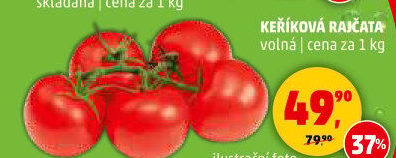 Rajčata keříková