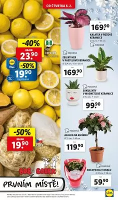 akční leták Lidl 6.2.2025-9.2.2025