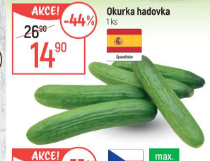 Okurka salátová - hadovka