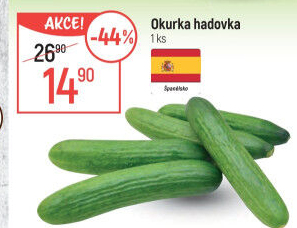 Okurka salátová - hadovka