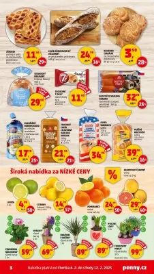 akční leták Penny Market 6.2.2025-12.2.2025
