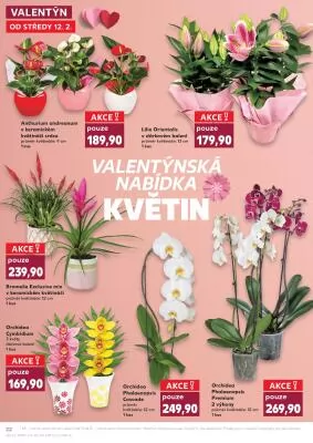 akční leták Kaufland 12.2.2025-18.2.2025