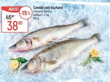 Candát obecný kuchaný