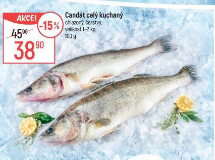 Candát obecný kuchaný