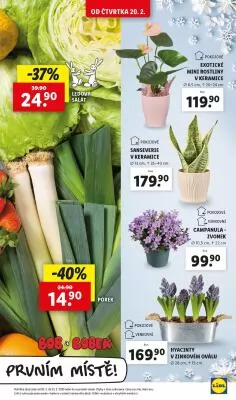 akční leták Lidl 20.2.2025-23.2.2025
