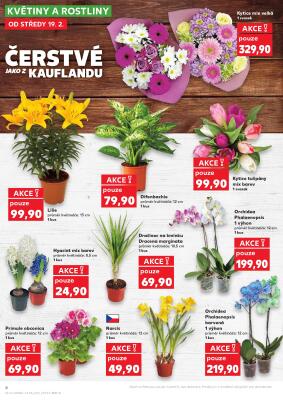 akční leták Kaufland 19.2.2025-25.2.2025