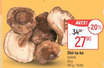 Houby Shiitake