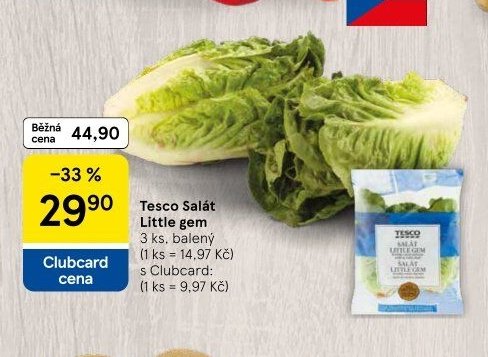 Tesco Salát Little gem