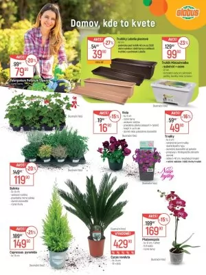 akční leták Globus 19.2.2025-17.3.2025