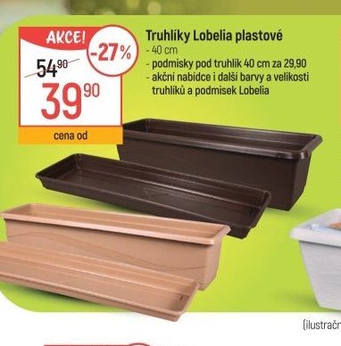 Truhlíky Lobelia plastové