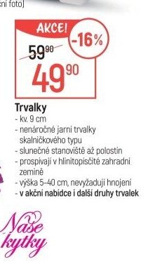 Trvalky