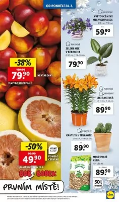 akční leták Lidl 24.2.2025-2.3.2025