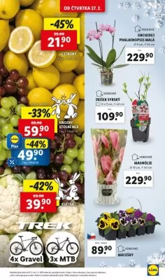 akční leták Lidl 27.2.2025-2.3.2025