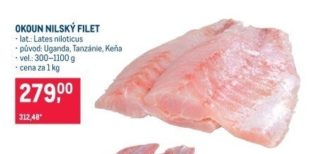 Okoun nilský filety