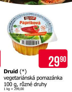 Vegetariánská pomazánka Druid
