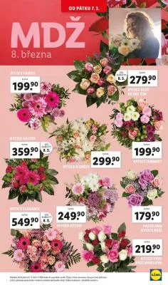 akční leták Lidl 6.3.2025-9.3.2025