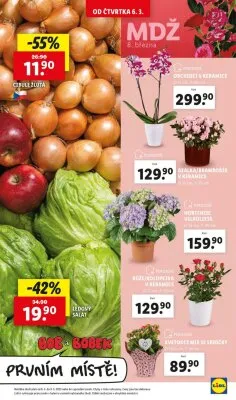 akční leták Lidl 6.3.2025-9.3.2025
