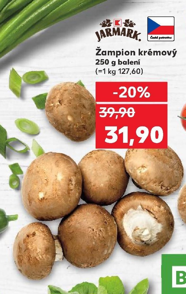 Žampion krémový