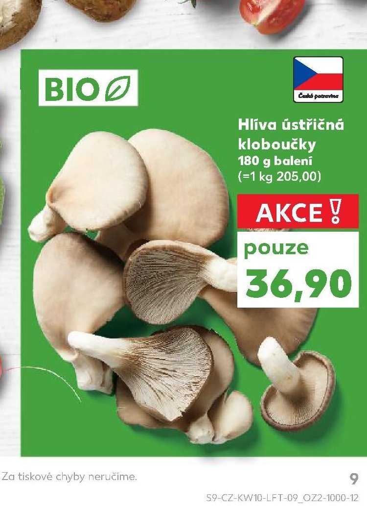 Hlíva ústřičná kloboučky