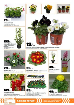 akční leták OBI 1.3.2025-31.3.2025