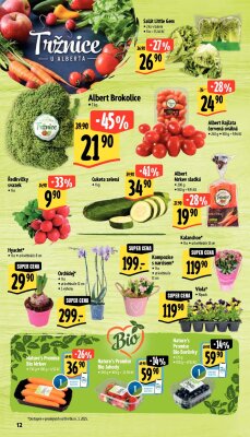 akční leták Albert 5.3.2025-11.3.2025