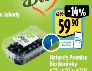 Borůvky bio Nature'