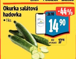 Okurka salátová - hadovka