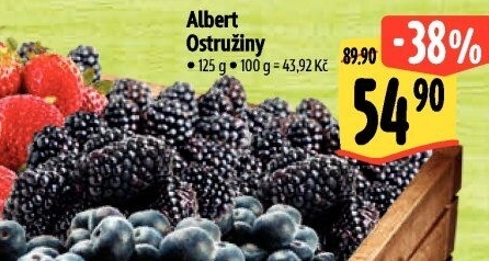 Ostružiny Albert