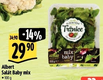 Salát baby listy mix Albert