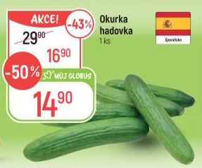 Okurka salátová - hadovka