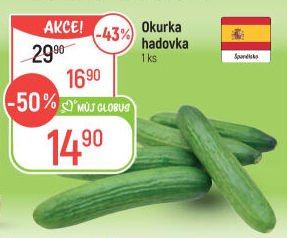 Okurka salátová - hadovka