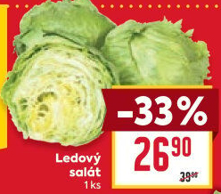 Salát ledový
