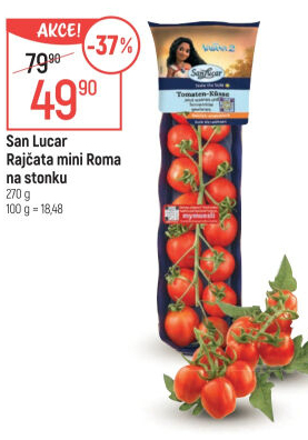 Rajčata keříková Roma San Lucar