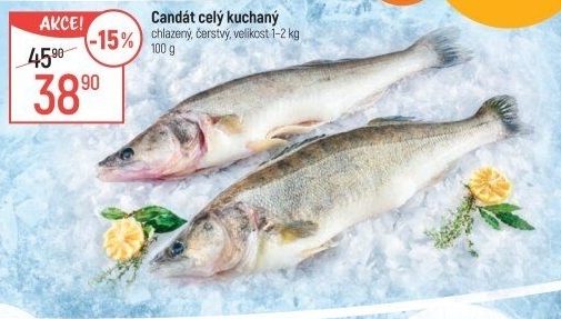 Candát obecný kuchaný